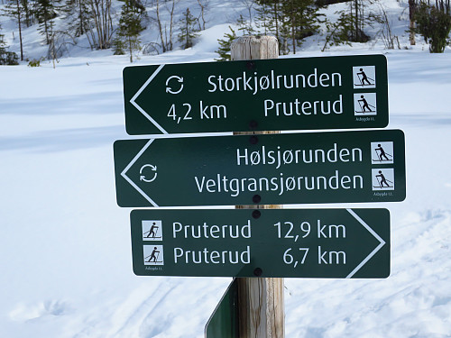 Flere runder å velge i.