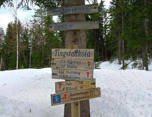 Litt for tidlig til fotturer