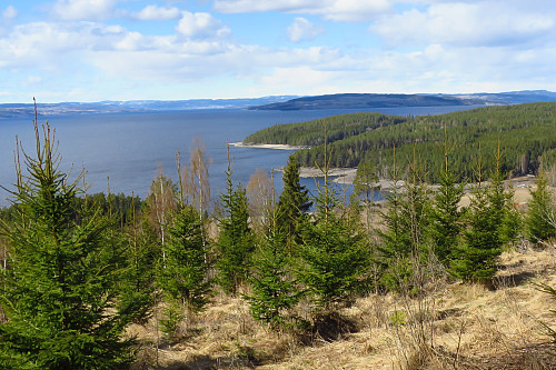 Gjøvika og Helgøya