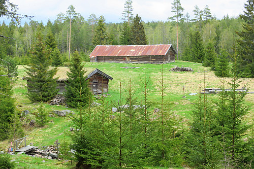 Veensvangen
