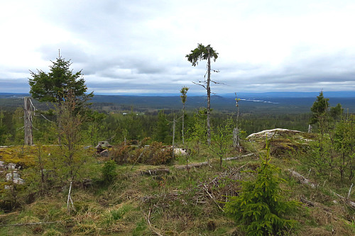 Utsikten fra Sauberget