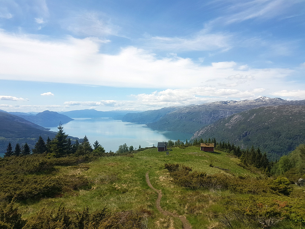 Idyllisk på Vindhovden