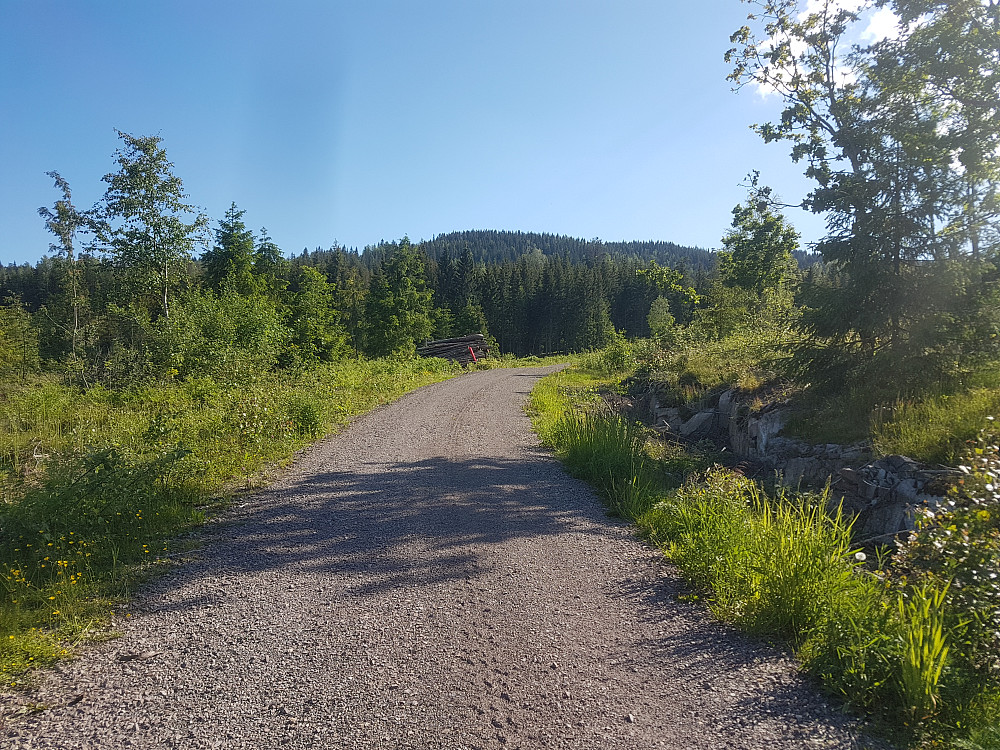 Snippane fra veien