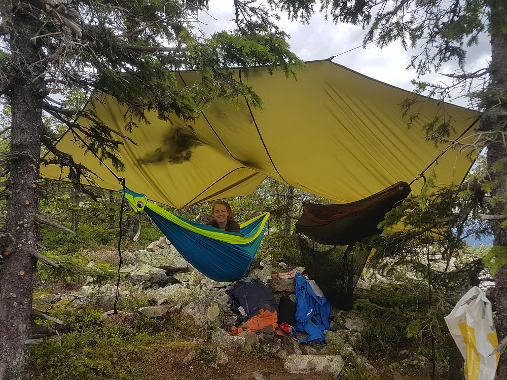 Idyllisk plass å våkne