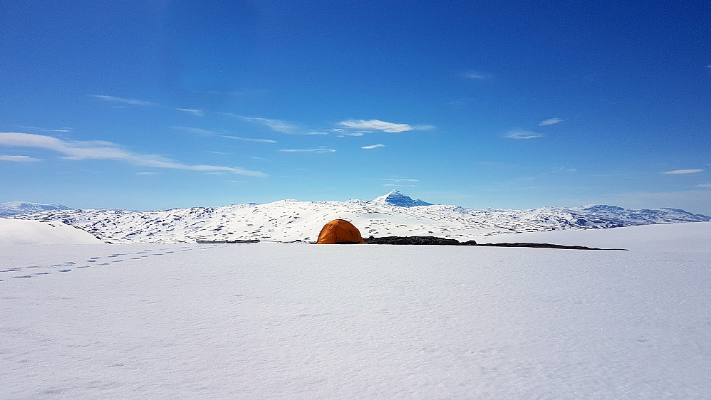 Teltplass med prima utsikt mot Nord-Saulo