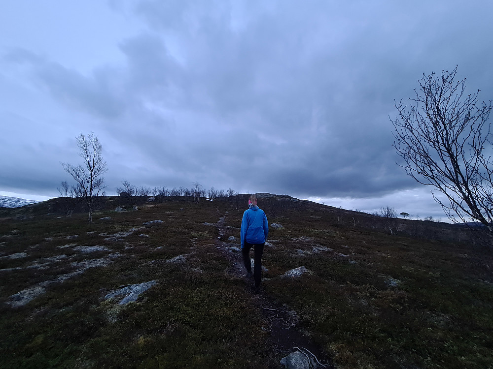 Oppe på ryggen mot nordøsttoppen