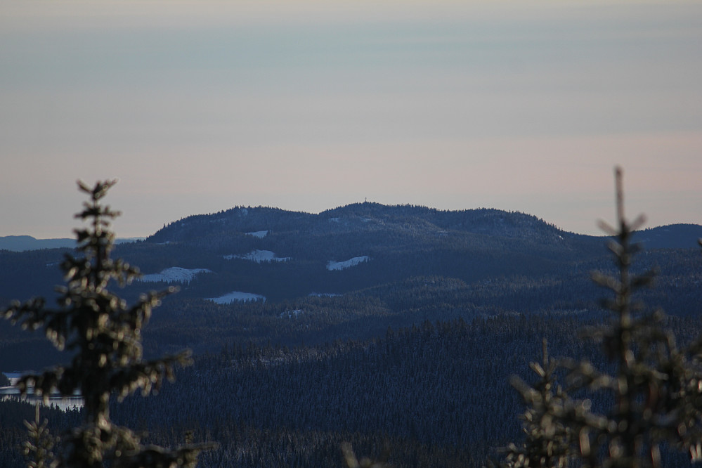Kikut