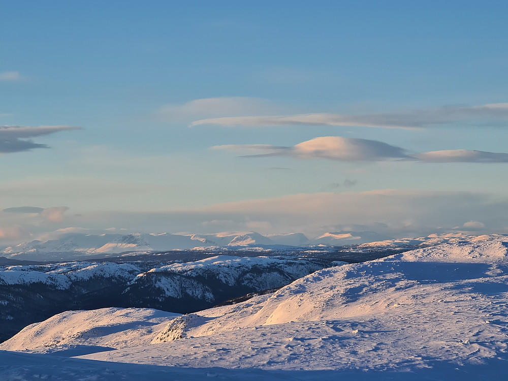Skogshorn med omgivelser