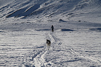 Hannes_20150412_552a315af3538.jpg