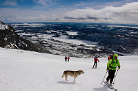 Hannes_20150504_5547bd3e356ed.jpg