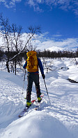 Hannes_20160316_56e9c913bb810.jpg