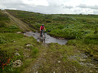 Hannes_20160727_579867c97c17b.jpg