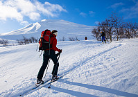 Hannes_20200301_5e5bbdb3cb515.jpg