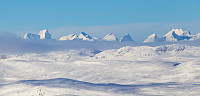 Hannes_20200301_5e5bbde717685.jpg