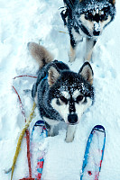 Hannes_20201101_5f9eb6fcbae4b.jpeg