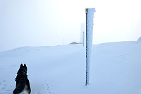 Hannes_20201101_5f9eb70a3ba34.jpeg