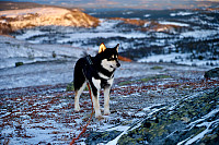 Hannes_20201122_5fba9dc9cb242.jpeg