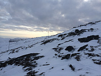 myrlas_2014-03-18_17.43.44.jpg