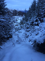 myrlas_2014-03-18_18.49.31.jpg