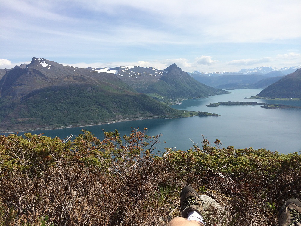 Litt avslapning i lyngen ved Eiksundsætra på vei opp. Måtte nyte den nydelige dagen i fulle drag. Fantastisk utsikt over Vartdalsfjorden og inn Ørstafjorden