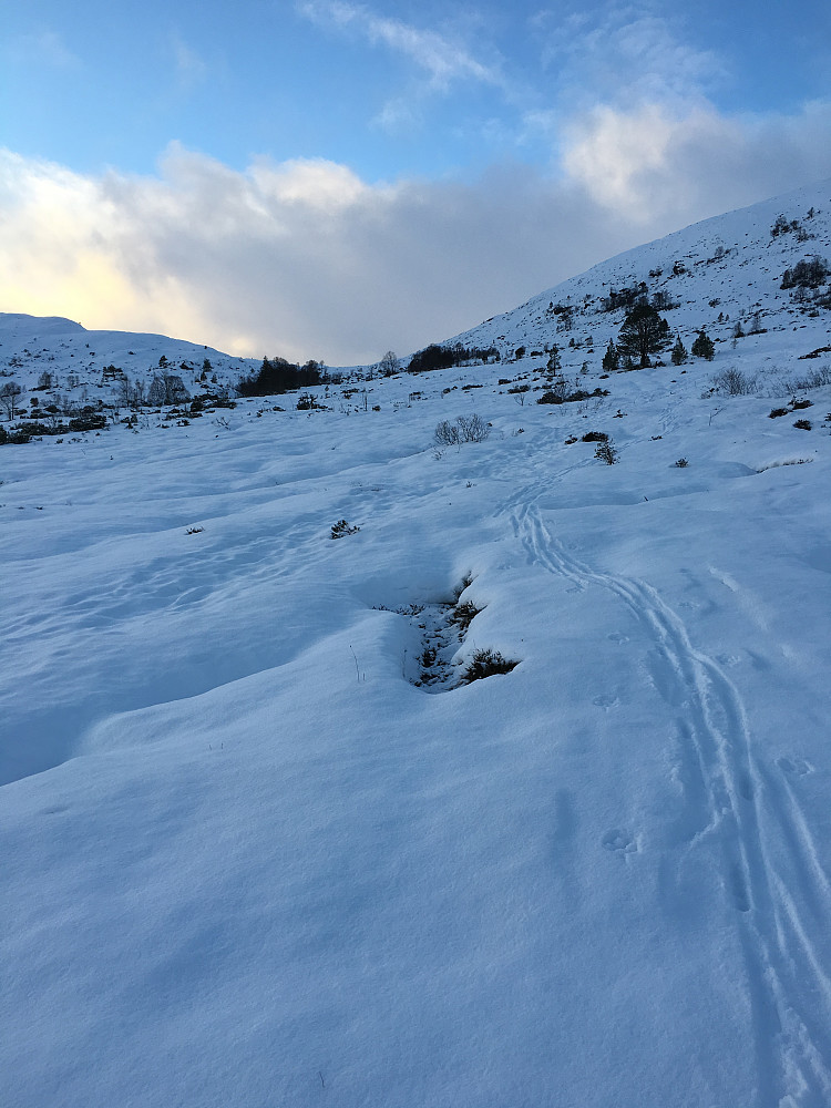 Nederst på vei opp til skaret var det knallhard snø/is under, med et 5cm lag nysnø over. Det gikk greit oppover, men var verre nedover. 