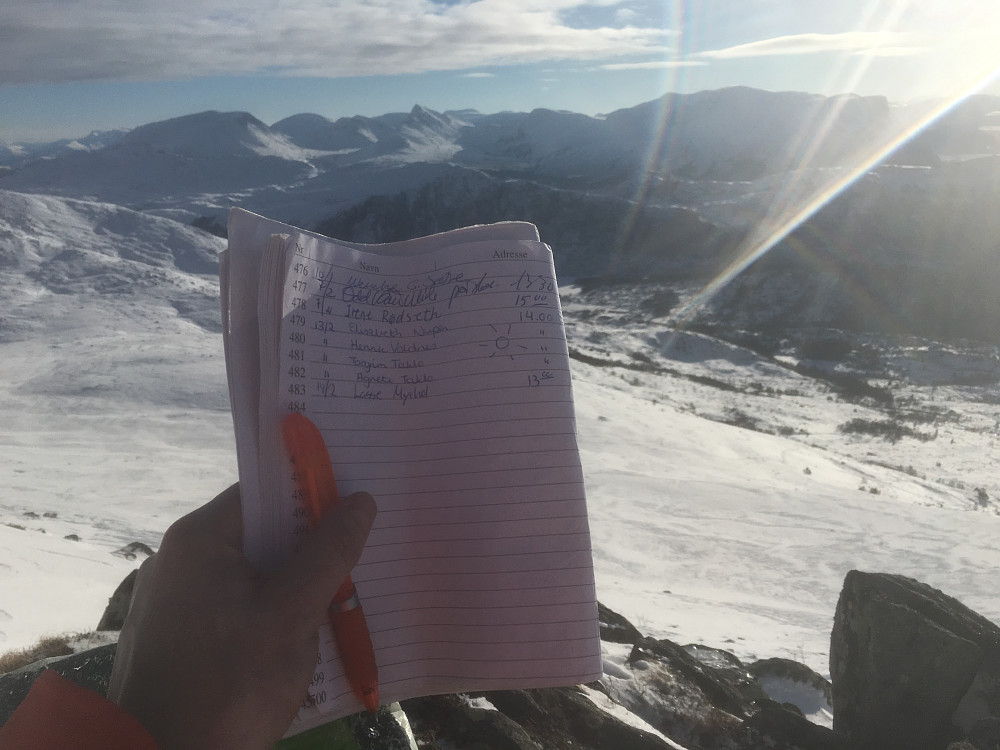 JEg var førstemann i boka på Storetua denne dagen. Der kom et trekløver uten ski like bak meg. Et ektepar godt opp i 70-åra med barnebarnet på slep (!). Sprekinger. De ble litt skeptiske da jeg fortalte at Gjøna var mitt mål for turen, men de gav meg noen gode tips, bl.a at den beste nedkjøringen fra Storetuaplatået var ned meldalen på nordsiden. Det er alltid lurt å lytte til erfarne fjellfolk. Noe den eldre spreke herren sa var at Gjøna kunne sammenlignes med siste delen opp til Kolåstinden i bratthet. Da tenkte jeg at jeg nok burde hatt med stegjern, men det var litt sent å tenke på nå 