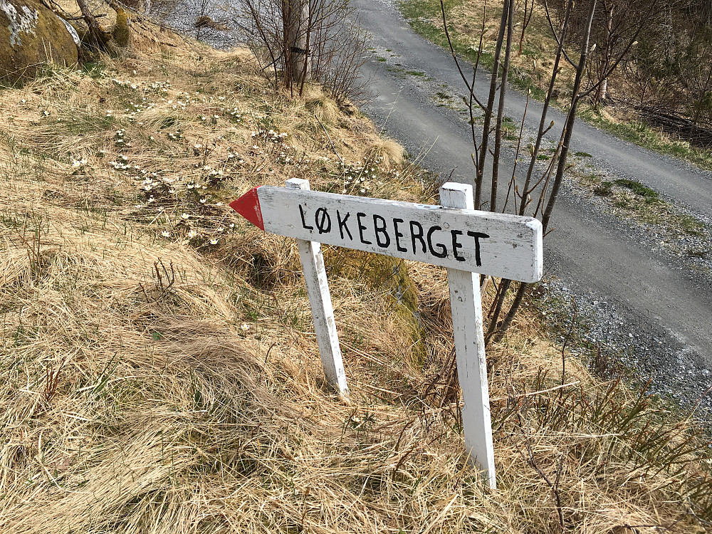 Oppstart ved hyttefeltet innerst i Ringstaddalen der veien svinger til venstre i retning dalen mot Ulsteineidet