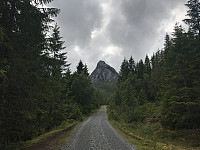 myrlas_20170717_596cf43e62ed0.jpg