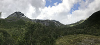 myrlas_20170717_596cf45ae27b9.jpg