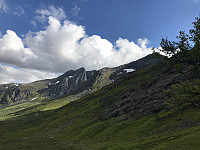 myrlas_20170717_596cf497b6a79.jpg