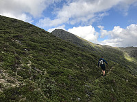 myrlas_20170717_596cf4ba1d9ae.jpg