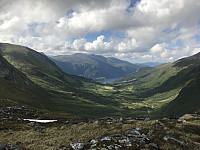 myrlas_20170717_596cf4c38da37.jpg
