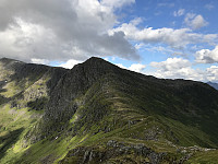 myrlas_20170717_596cf528b46df.jpg