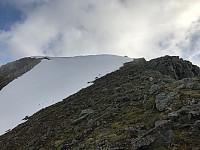 myrlas_20170717_596cf560b4ec3.jpg