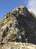 myrlas_20170717_596cf5d285716.jpg