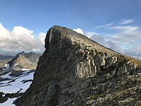 myrlas_20170717_596cf61a8d3e3.jpg