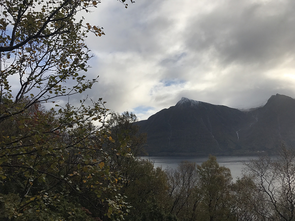Bergehornet på motsatt side av fjorden
