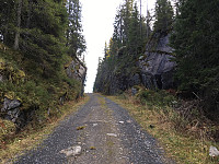 AnneW_20181020_5bcb4ed87610a.jpg