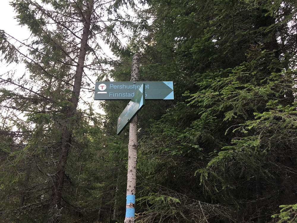 Fra veien opp til stien