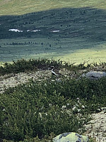 AnneW_20200705_5f0183e3ad8ad.jpg
