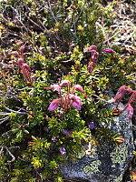 AnneW_20200705_5f0183e433d07.jpg