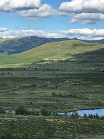 AnneW_20200705_5f0183e5684fc.jpg