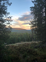 AnneW_20200906_5f55388a78967.jpg