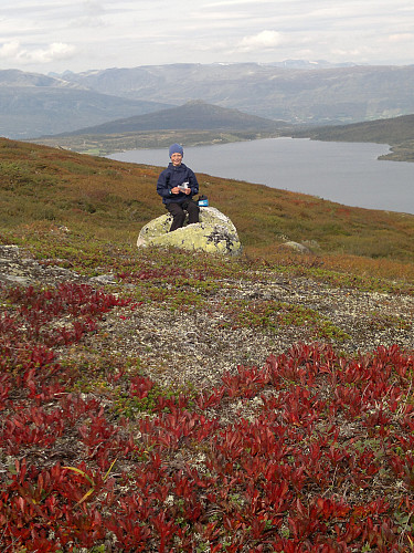 Flotte høstfarger i fjellet