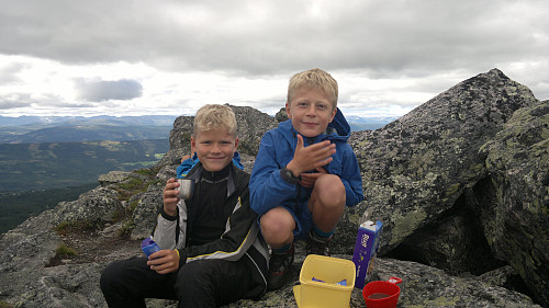 Brage og Herman på toppen av Skarvemellen