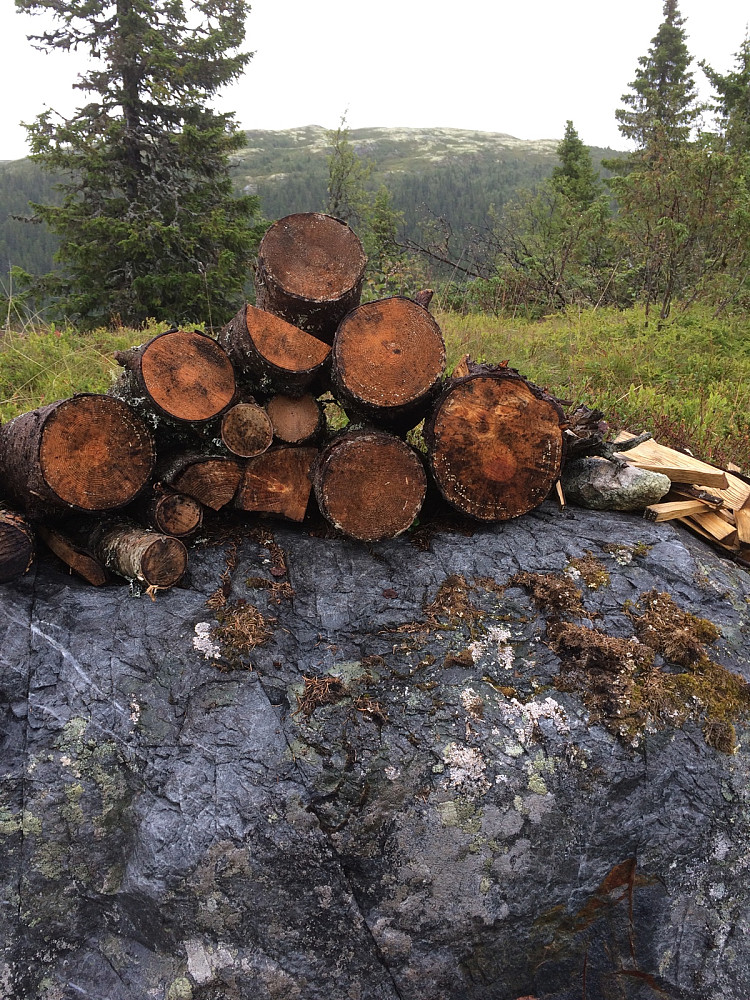 På toppen med utsikt mot Makalausfjellet