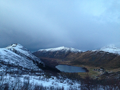 Lauvdalen