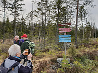 Storen_20190324_5c978c4941149.jpg