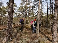 Storen_20190324_5c978c4bdc7d2.jpg