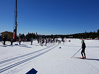 Storen_20190413_5cb1c5a311acc.jpg